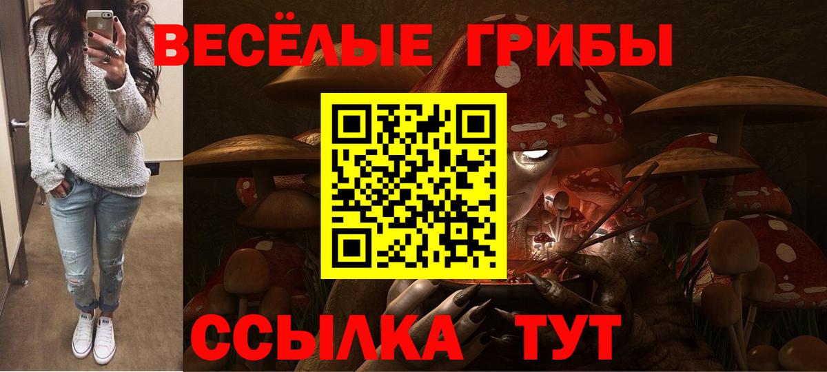 Ленинск-Кузнецкий  Псилоцибиновые грибы Psilocybe  Псилоцибиновые грибы ЛСД  Вход с VPN 